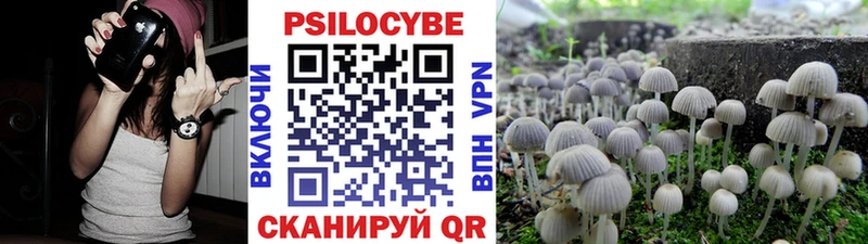Псилоцибиновые грибы мухоморы  Чегем 