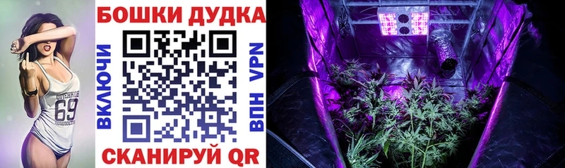 Бошки Шишки Bruce Banner Чегем